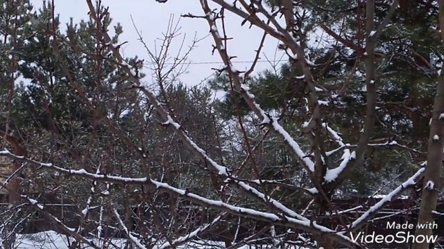 0d2618ab2e0ff9031b59a53c767d21f8