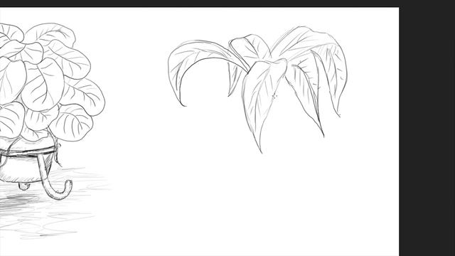 Drawing Leaf Plants | Brainstorming Ideas In Photoshop