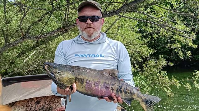 Рыбалка на реке Быстрая. Камчатка. Август 2024