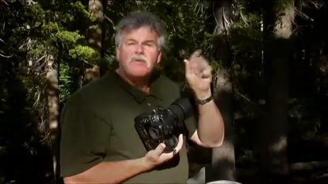 93236007a45276383cafeb5292339d1c