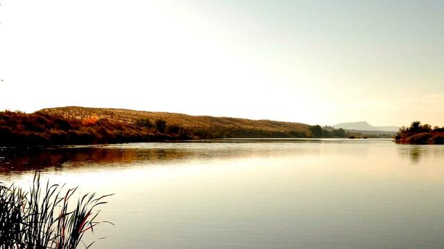 Нежная, душевная мелодия !!