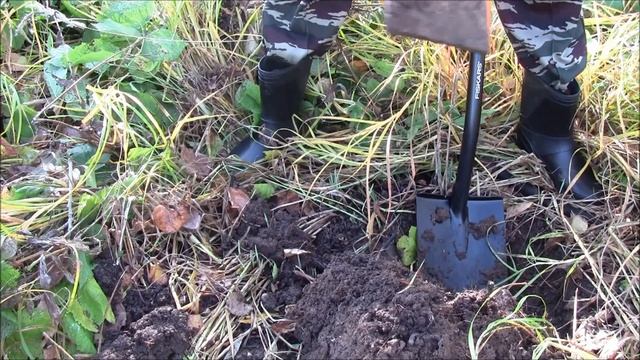 Выгодно ли копать метал в земле? Экспериментируем проверяем