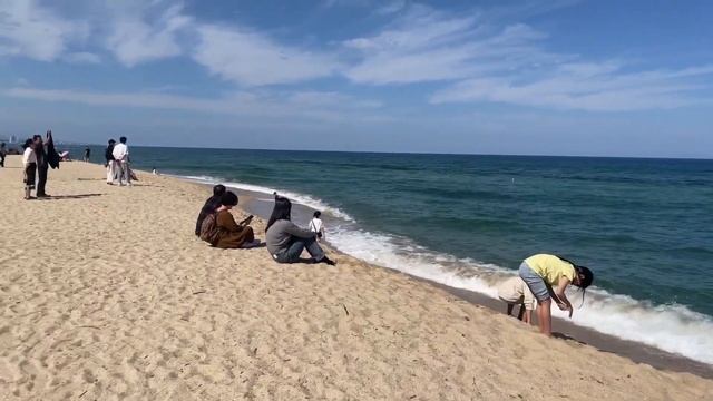 #Корея: поездка в Каннын? (강릉)