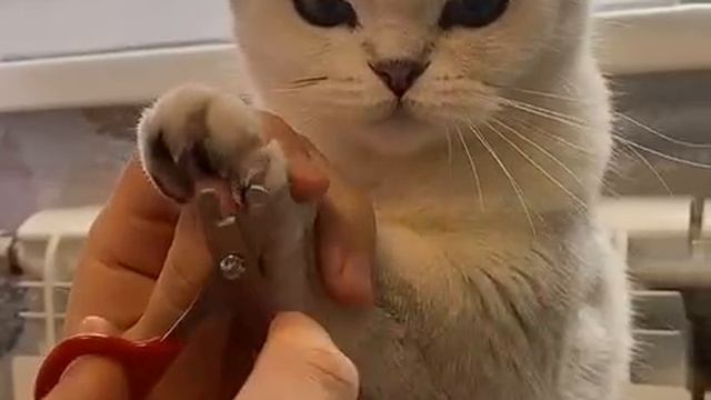 B1b947b54f109d3feae37c655ca259dc