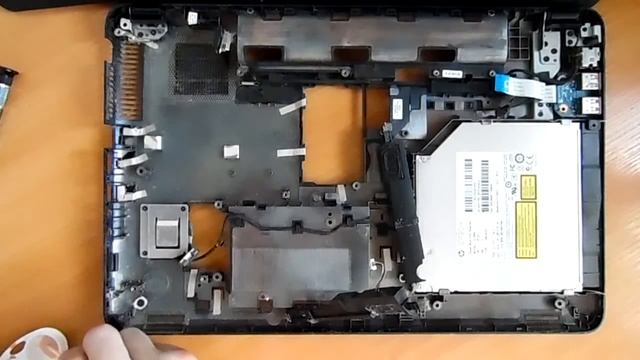 Трендовые Решения