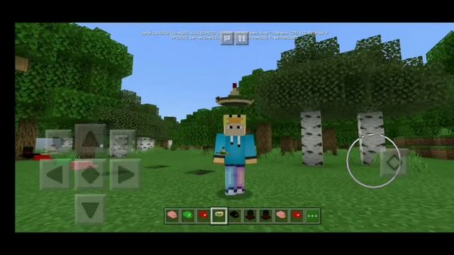 НОВЫЕ 4D ДОПОЛНЕНИЕ ДЛЯ СКИНА В МАЙНКРАФТ ПЕ 1.14.0.50| МОД ОБЗОР СКАЧАТЬ