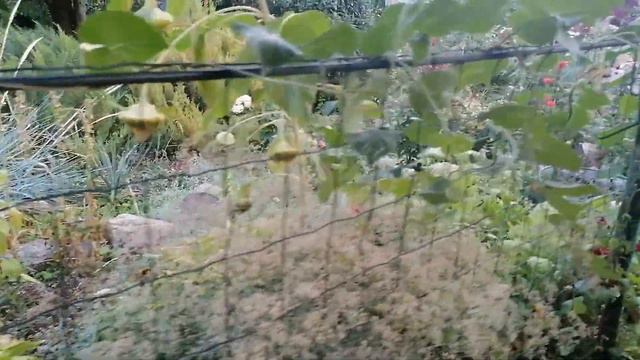 6b275c9b84089113e8f61416f8bd8f8c