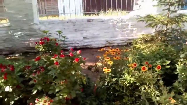 Ed610da9437557393d9ebec1db0d67db