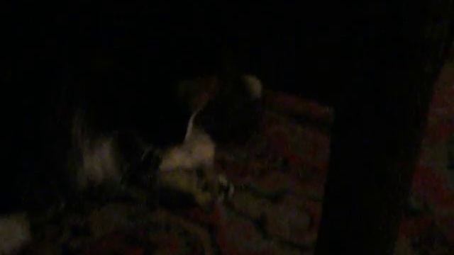 3c3c060bca23090126c7d299dc48d7c9