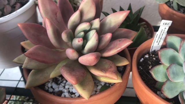 B52e72bb0ee640a16a4e557d809b5bce