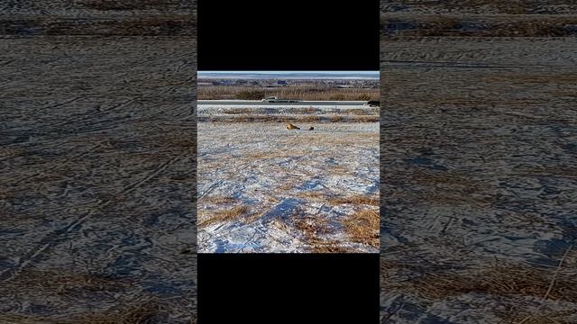 VID20230108135419.mp4