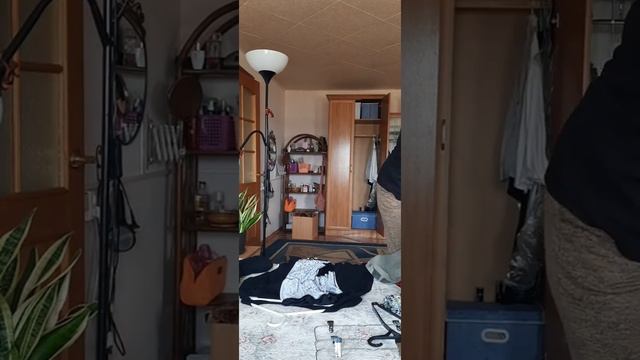 VLOG/ СНЫ СБЫВАЮТСЯ/ РАЗБОРКА