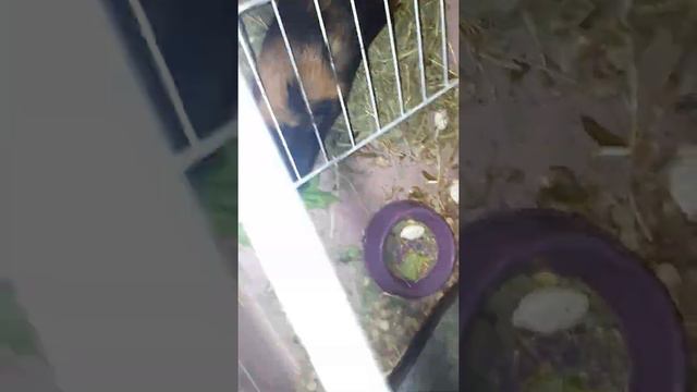 E1a118bb1fba5bbe185f858fe2371081