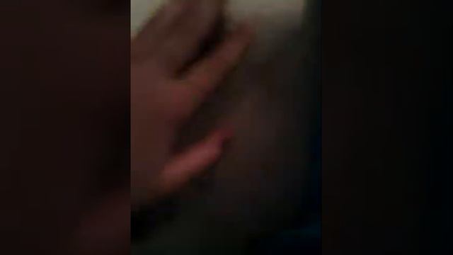 У моей кошки родились котята ура