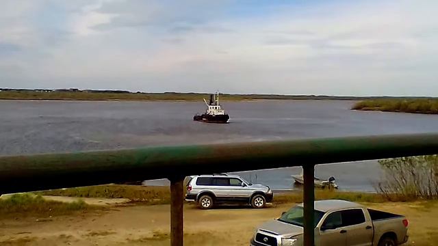 Кто говорил боржи нет а она есть!