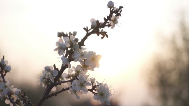 Лабковский Михаил (ВИДЕО) -  Не бойтесь того что должно случиться  Тревоге нет места в вашей жизни.