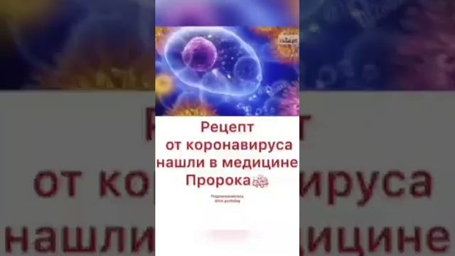 коронавирус лечение тминам