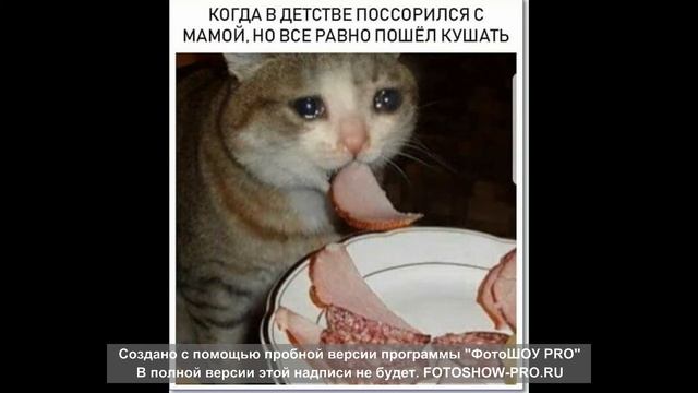 Смешные картинки с надписями и без №2