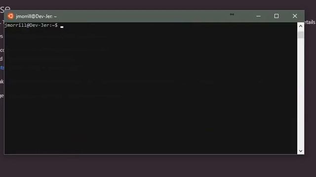 Bash  Terminal Emulator