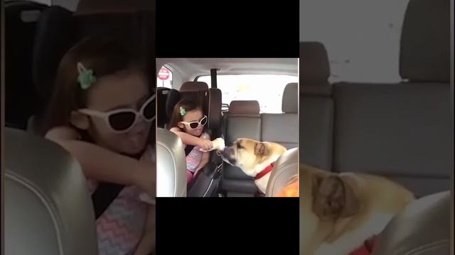 24 ноября 2023 г.