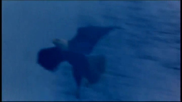 С днём рождения Агнеточка )))))