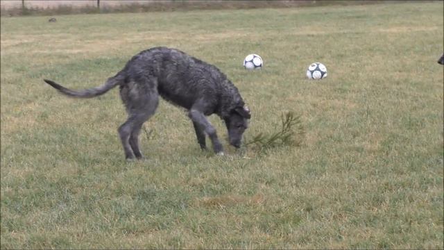 88a9773c70a57bdc3449189332bfcf46