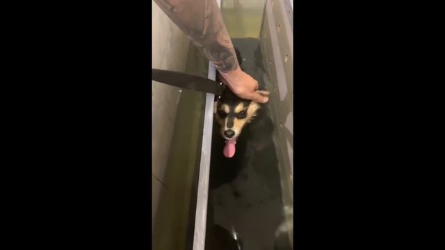 C503f29dbae122dc5b727fab7097182a