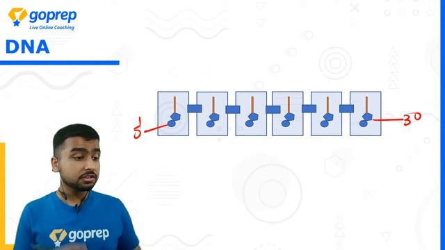 Structure Of Chromosome | DNA - The Genetic Material | ICSE Class 10 Biology | Sona Sir | Goprep