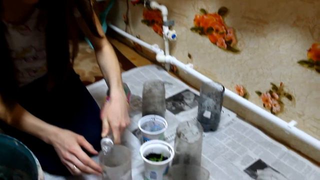 Выращивание рассады. Подсыпка земли.