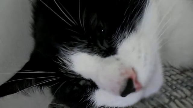 Nikon Coolpix- S3500 Video Test 720P