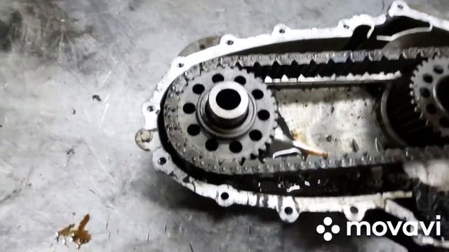 Советы профессионалов