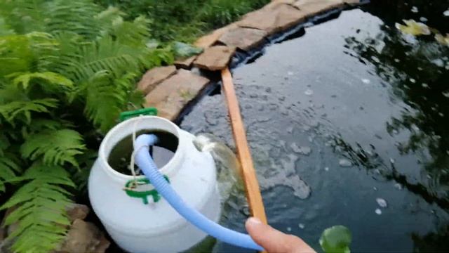 КАК БЫЛО 2 МЕСЯЦА НАЗАД. ЗЕЛЁНАЯ МУТНАЯ ВОДА В ПРУДУ.