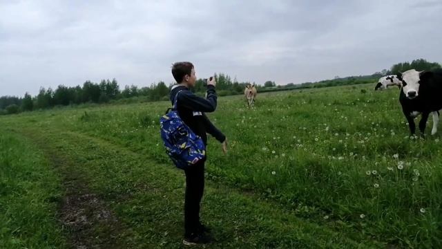 78d4b0ab12642b13eec92177df583b9e