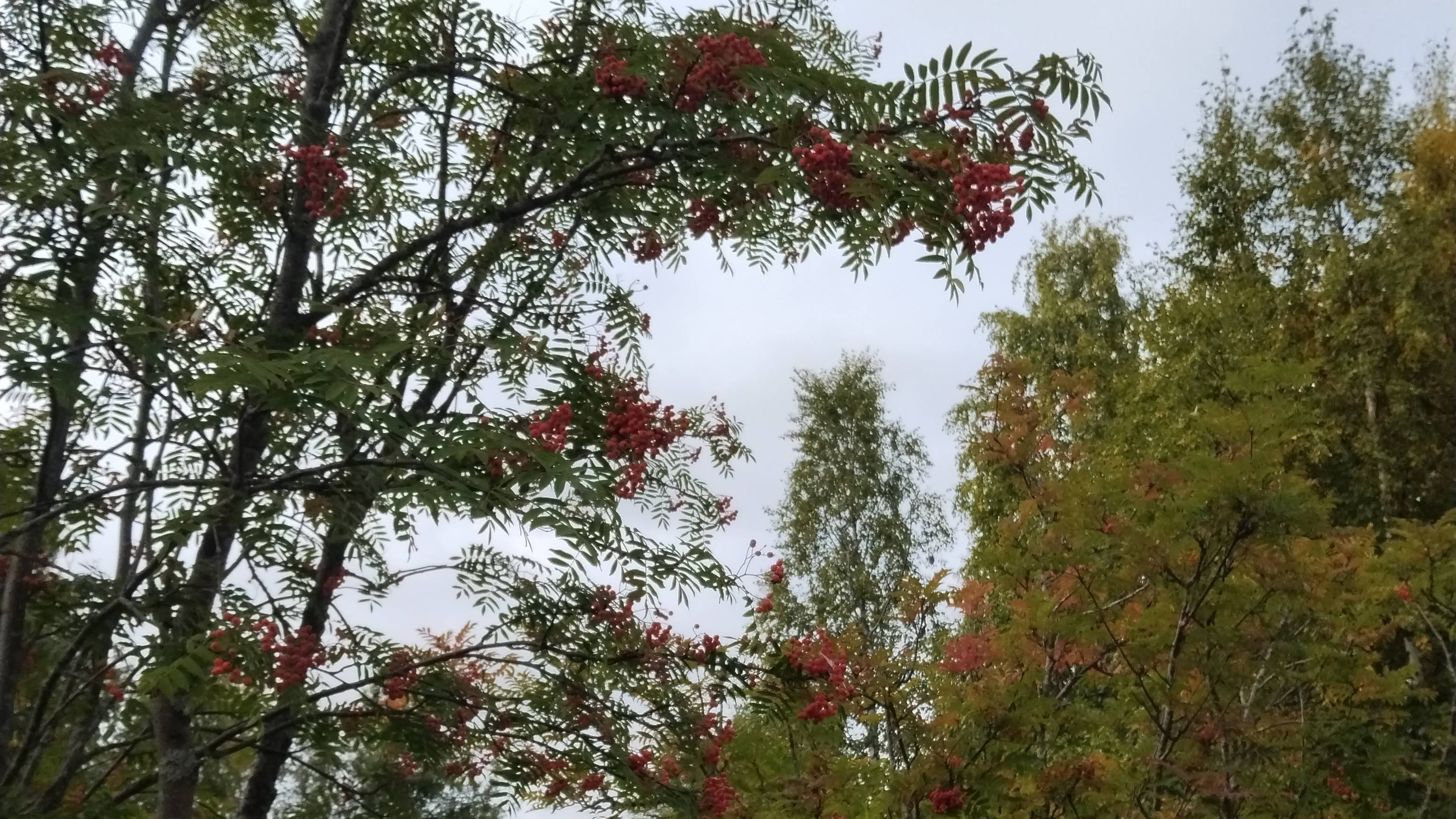 Ну как же красиво вокруг!