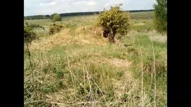 8891a7797913c2f4544f4e7913af1982