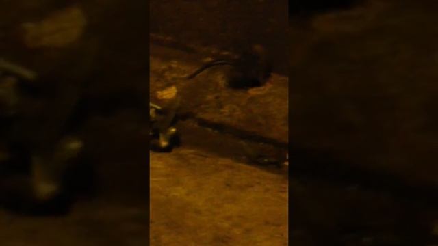 A43e205cef0562b64d409efe827284b7