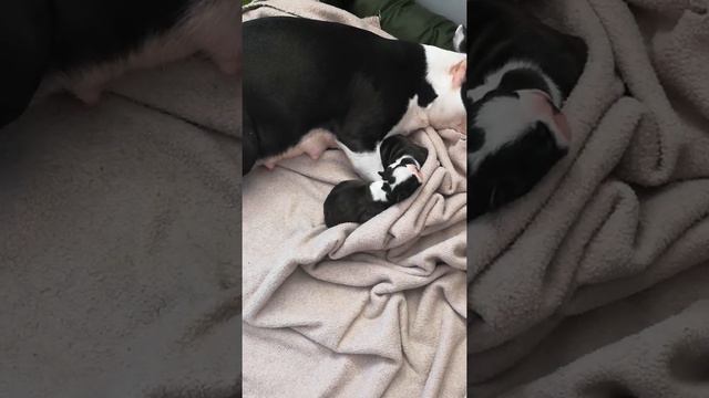 82ceb12b2b860306d13b293626e9521e