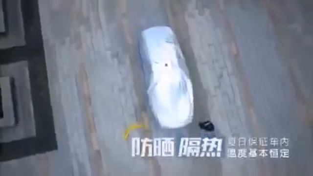 Автоматический автомобильный чехол (Avto Car Cover)