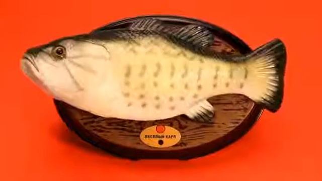 Поющая рыба - Веселый Карп
