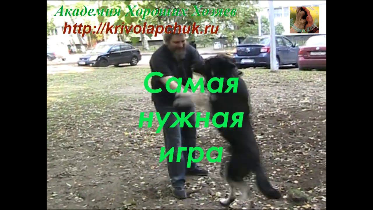 Самая нужная игра