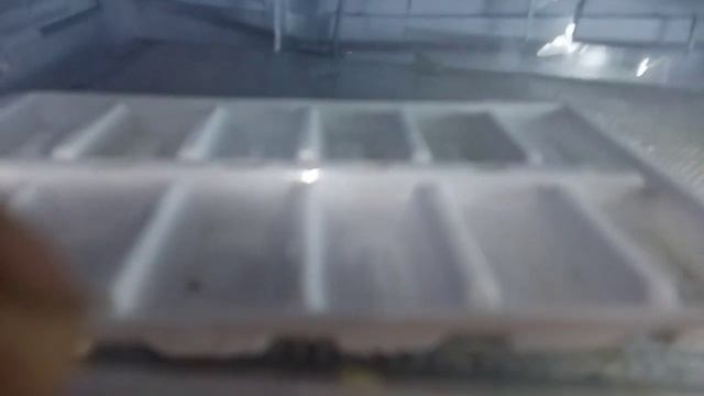 Haier Fridge Not Cooling Problem || Fridge On Ha Lakin Cooling Nahi Ho Raha