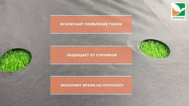 Агротекс Перфорированная мульча для клубники 60 16х5 м