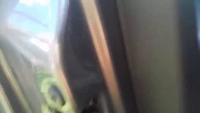 Интерьерные перспективы