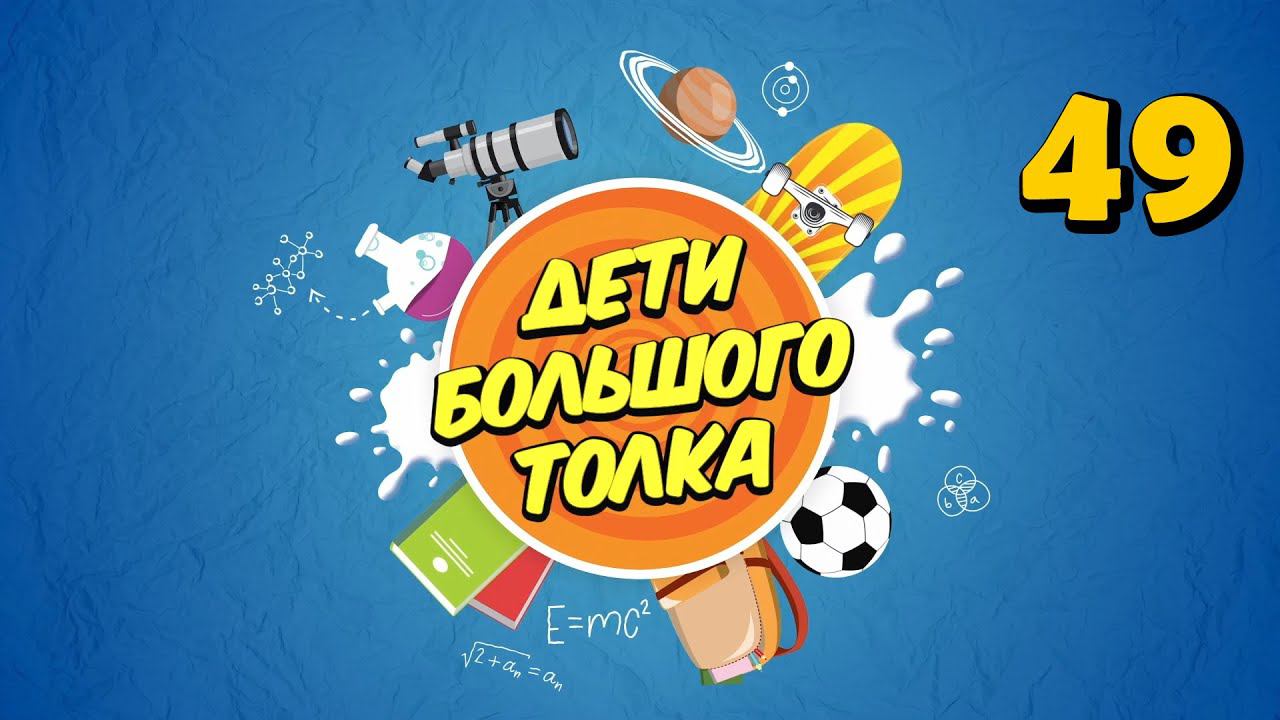 Любопытные факты о животных рисовании и цифровом мусоре  Дети Большого Толка