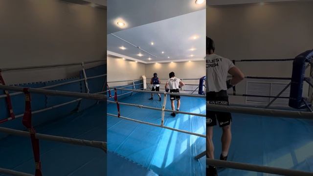 Подготовка к топ дог 22.  #топдог #топдог22 #шелестпалач