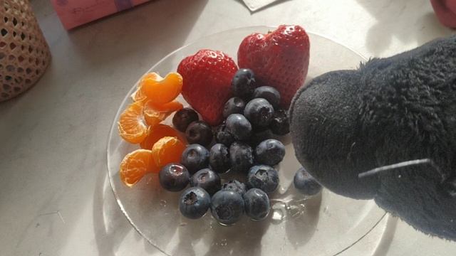 Басик и друзья пробуют вкусности