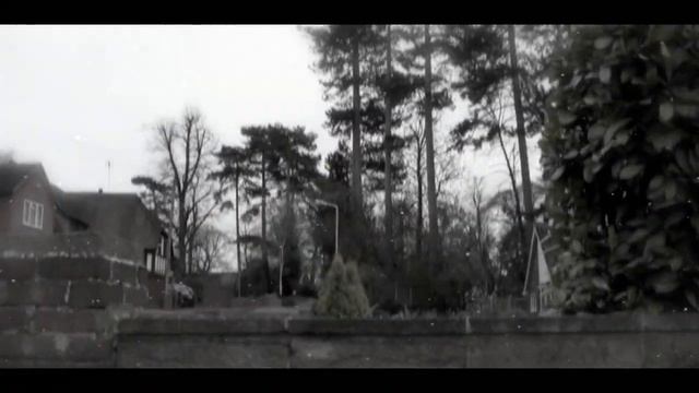 368a9879192fcab6a438d93430ff6df7