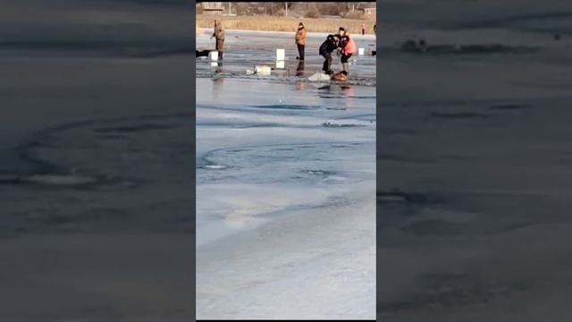 VID-20231207-WA0010.mp4 утонул человек зимняя рыбалка