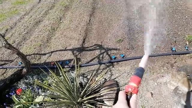 Жизнь в станице/Сенокос/Все посоветовали и мы решили переделать/Не хватило краски Ч.196