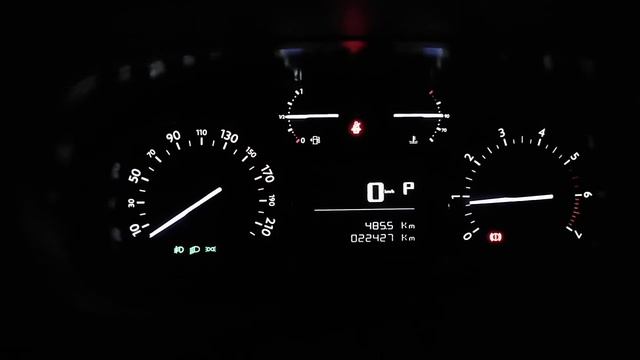 Олег Дизель